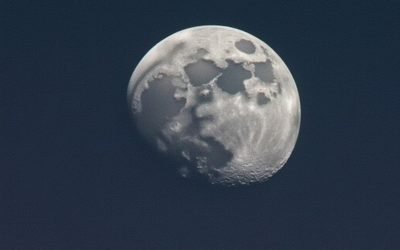 image 95 1