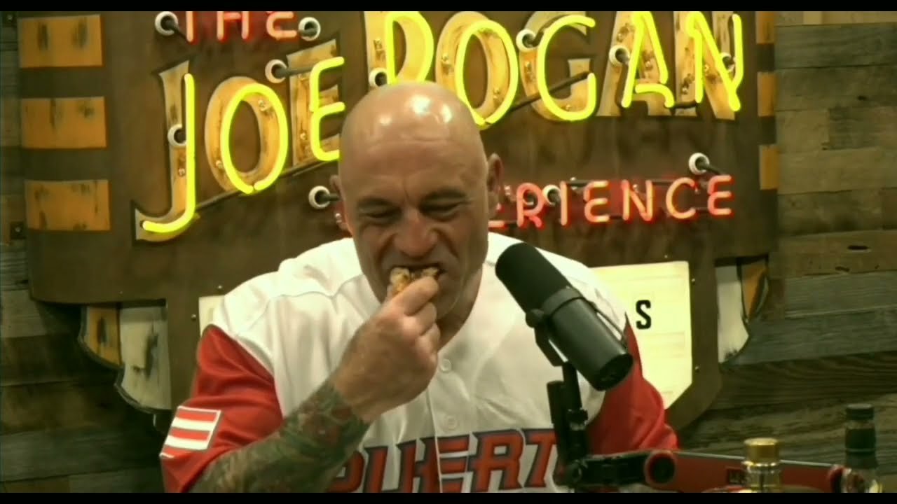 Elon musk on Joe rogan