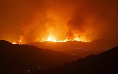 Breaking: New Wildfire Erupts in Los Angeles County, August 4